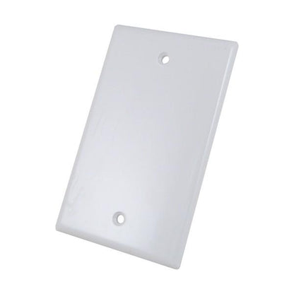 Blank Wall Plate 0-Port White